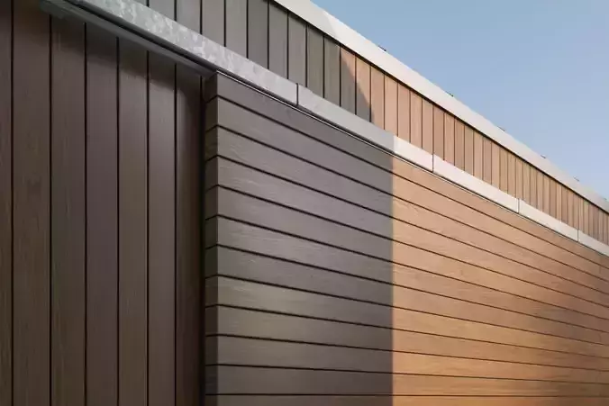Siberian Larch glossy texture Texture