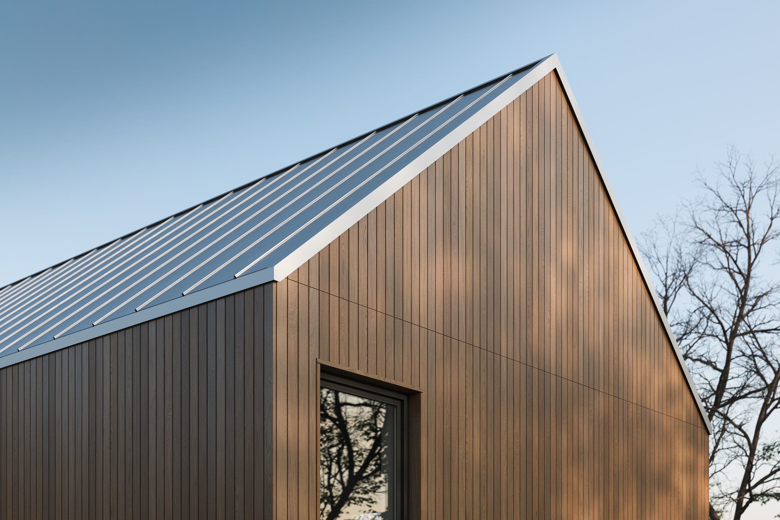 Siberian Larch glossy texture Texture_1