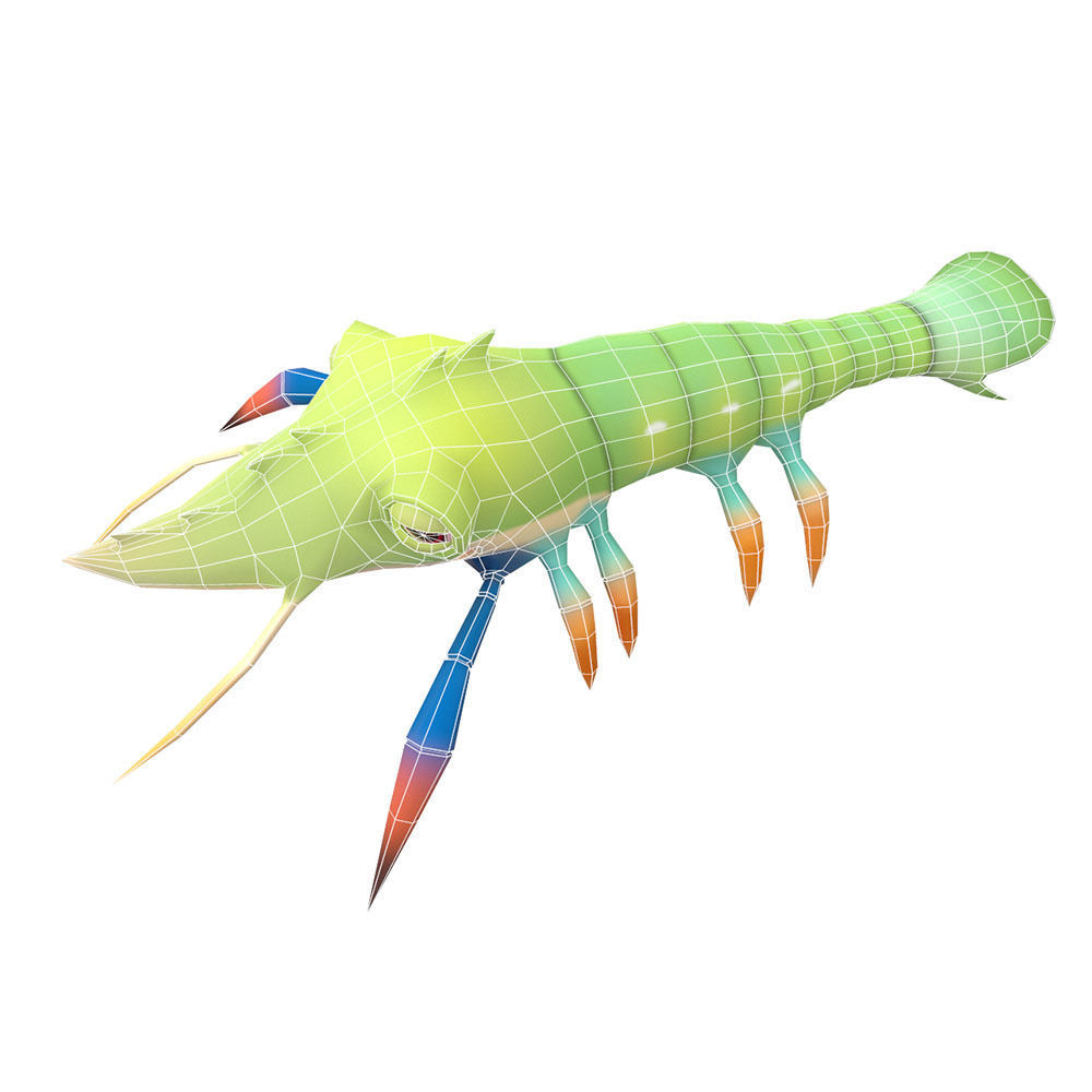 Gaint River Prawn Animated  Low-poly 3D model_4