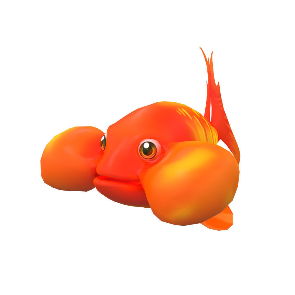 Bubble Eye fish animated   Low-poly 3D model_2