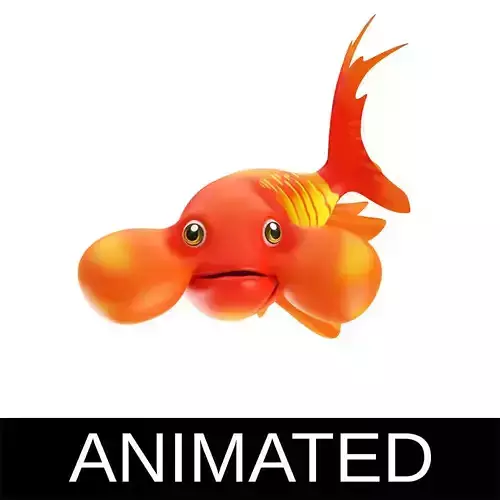 Bubble Eye fish animated   Low-poly 3D model