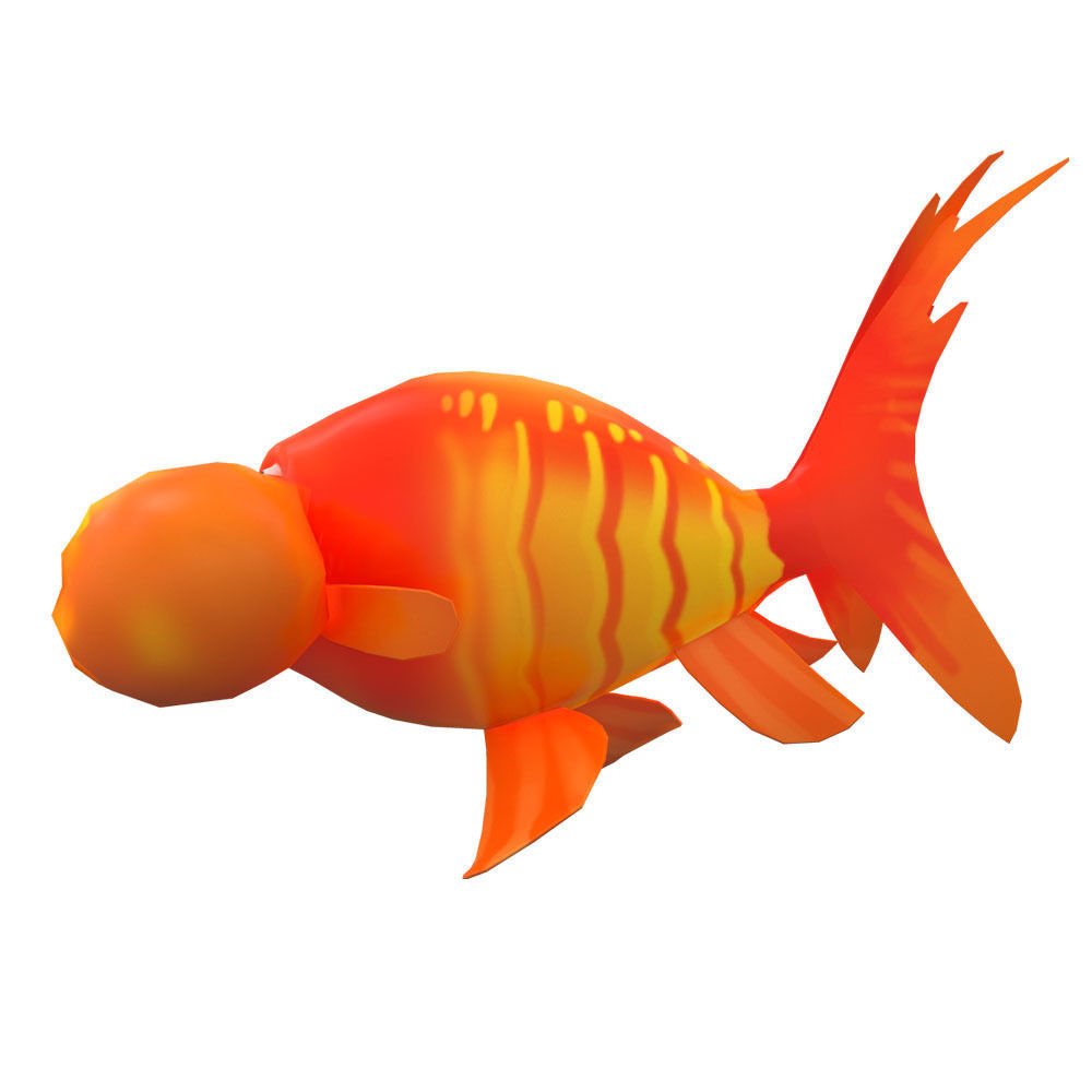 Bubble Eye fish animated   Low-poly 3D model_1