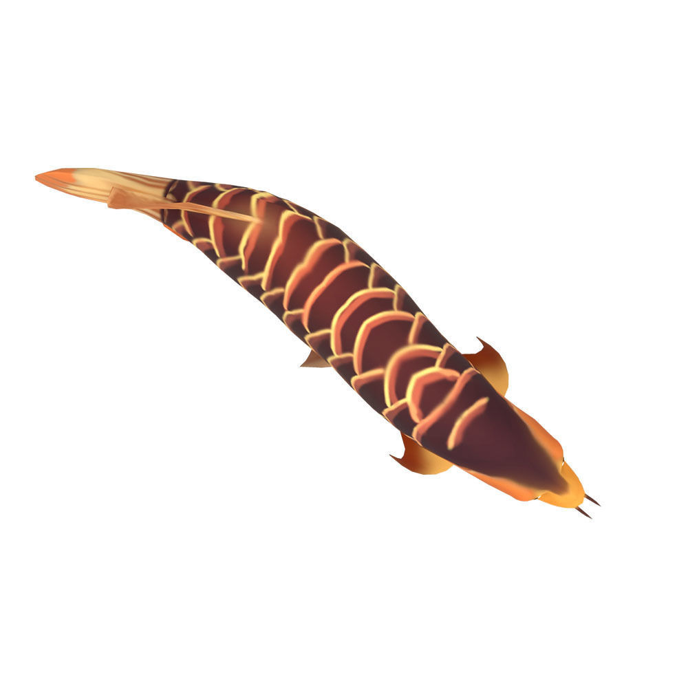 Asian Arowana fish animated Low-poly 3D model_3