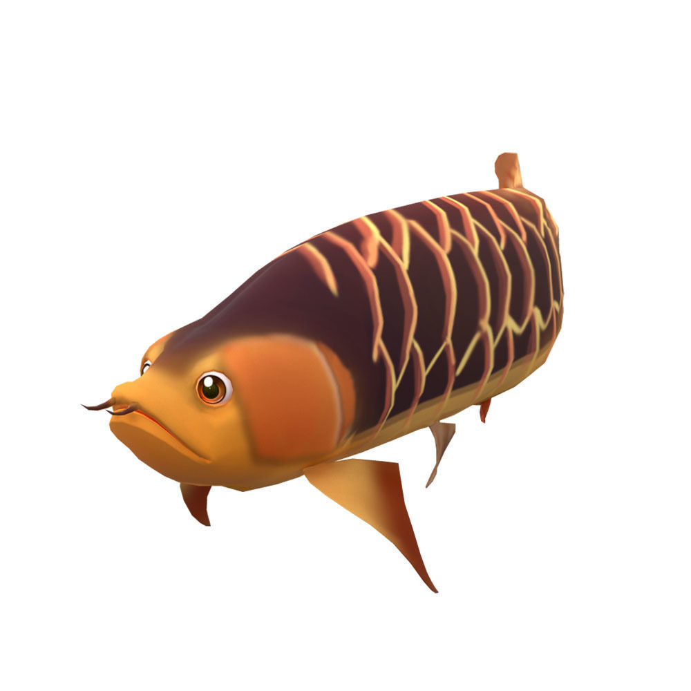 Asian Arowana fish animated Low-poly 3D model_1