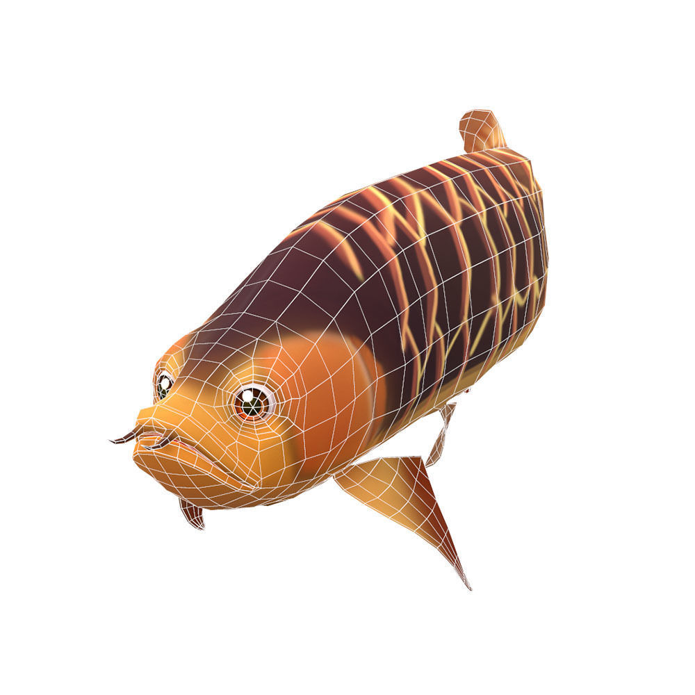Asian Arowana fish animated Low-poly 3D model_4