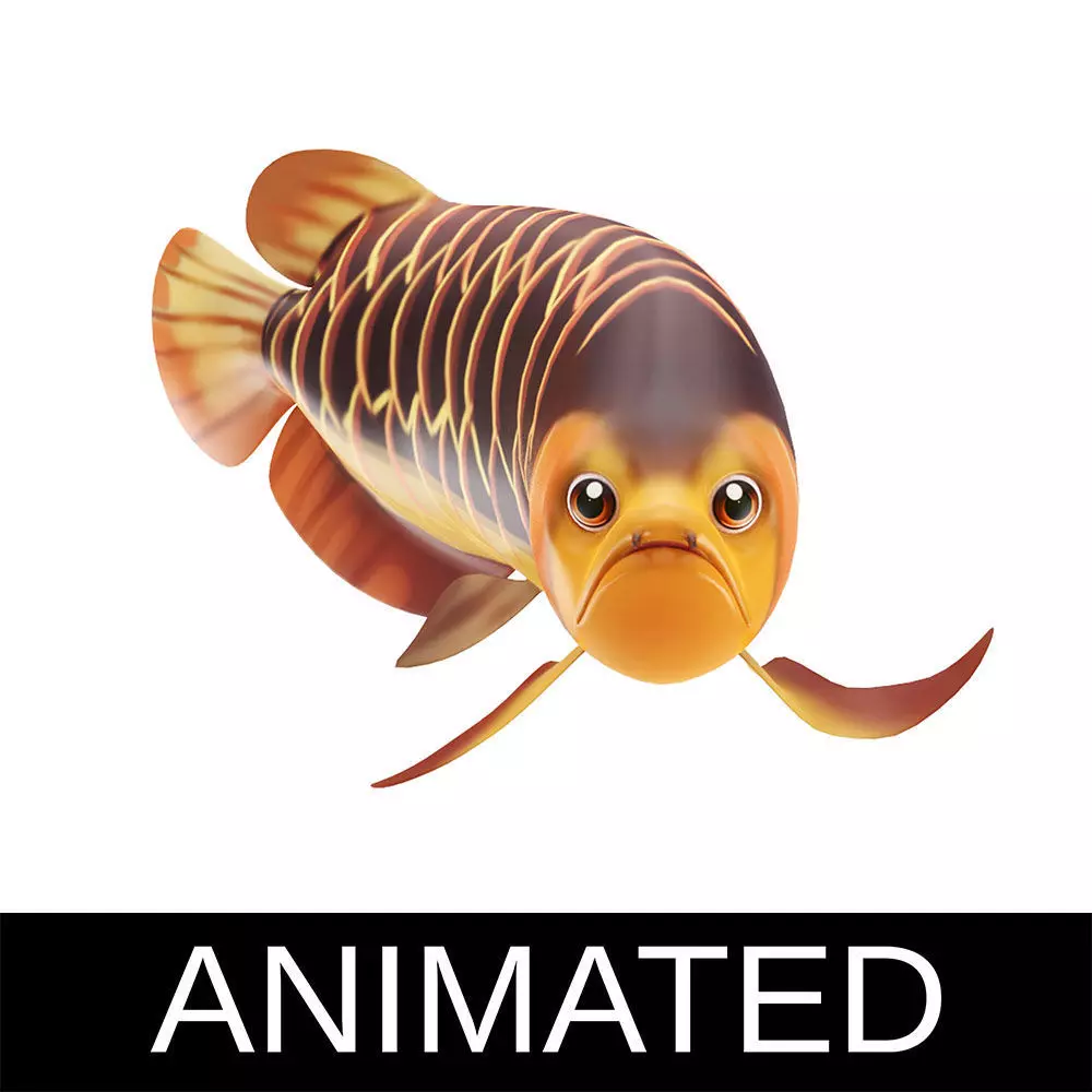 Asian Arowana fish animated Low-poly 3D model_0