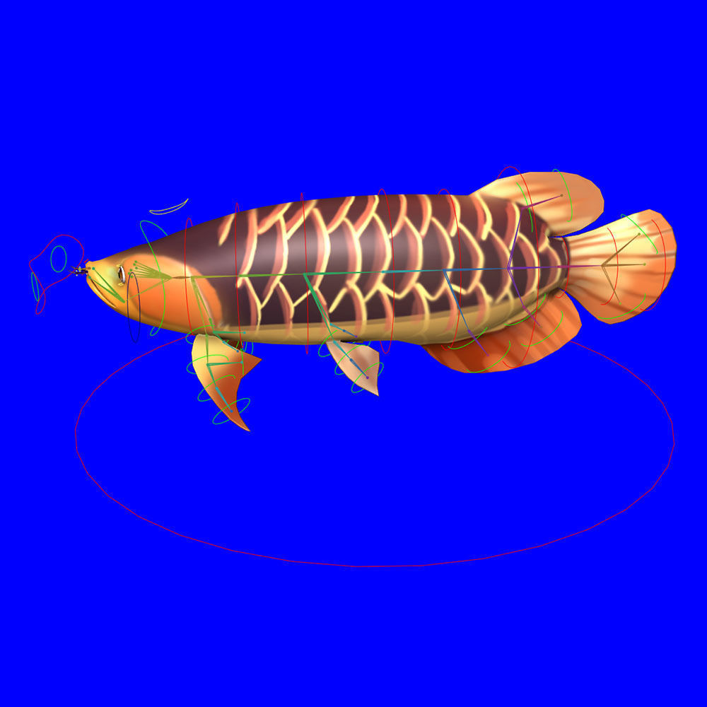 Asian Arowana fish animated Low-poly 3D model_7