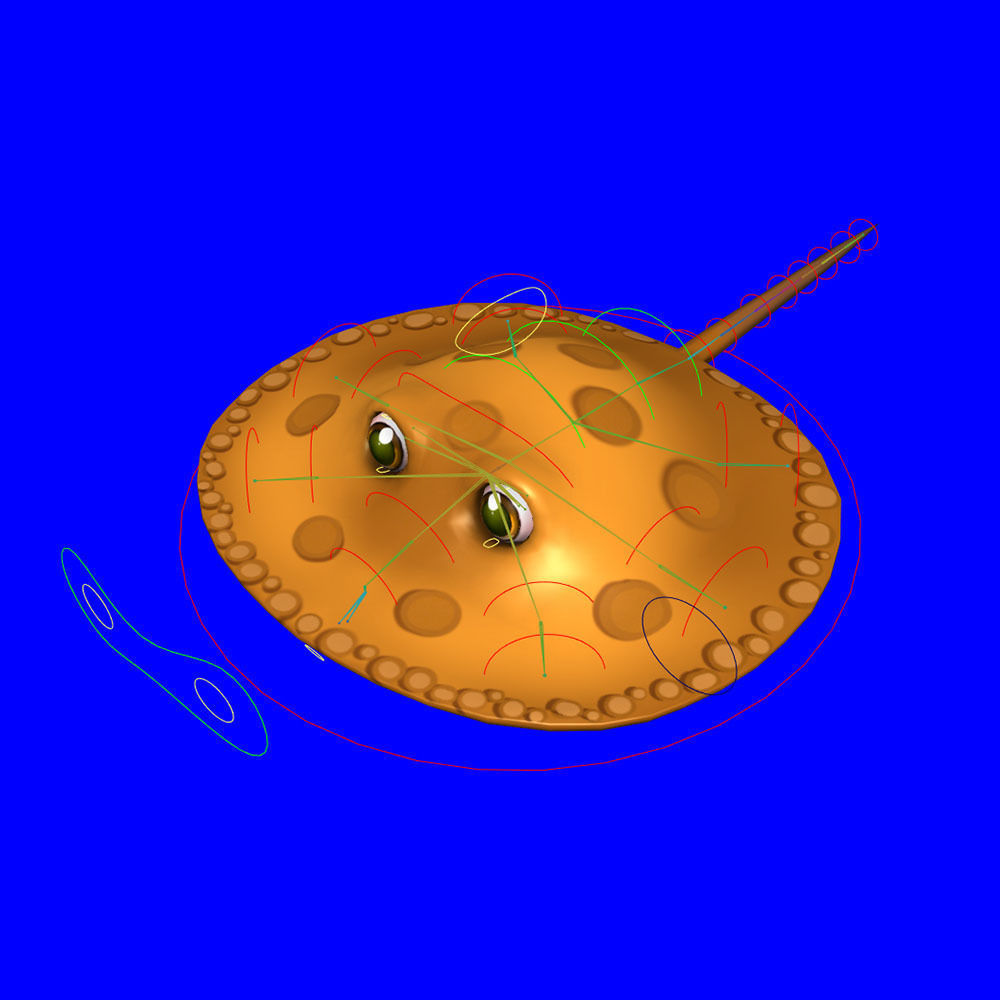 Motoro Stingray fish animated Low-poly 3D model_8