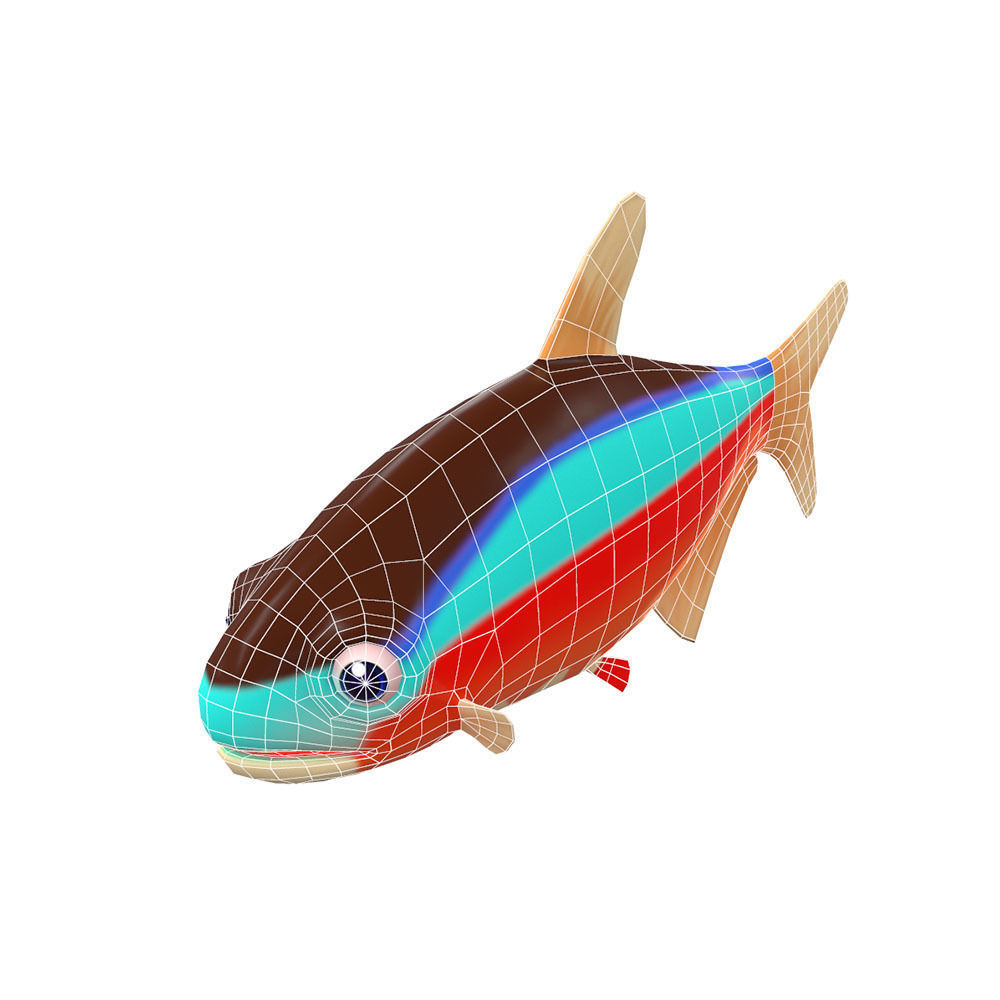 Cardinal Tetra fish animated Low-poly 3D model_4