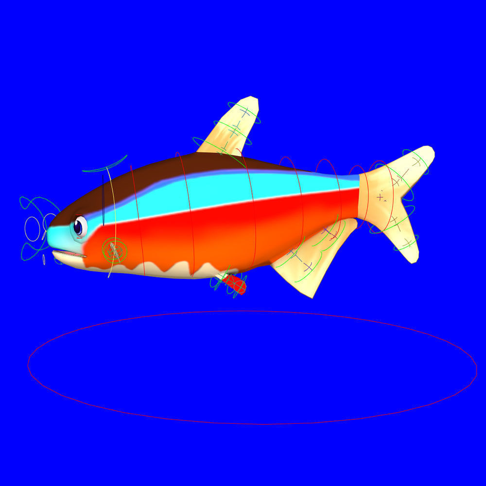 Cardinal Tetra fish animated Low-poly 3D model_6