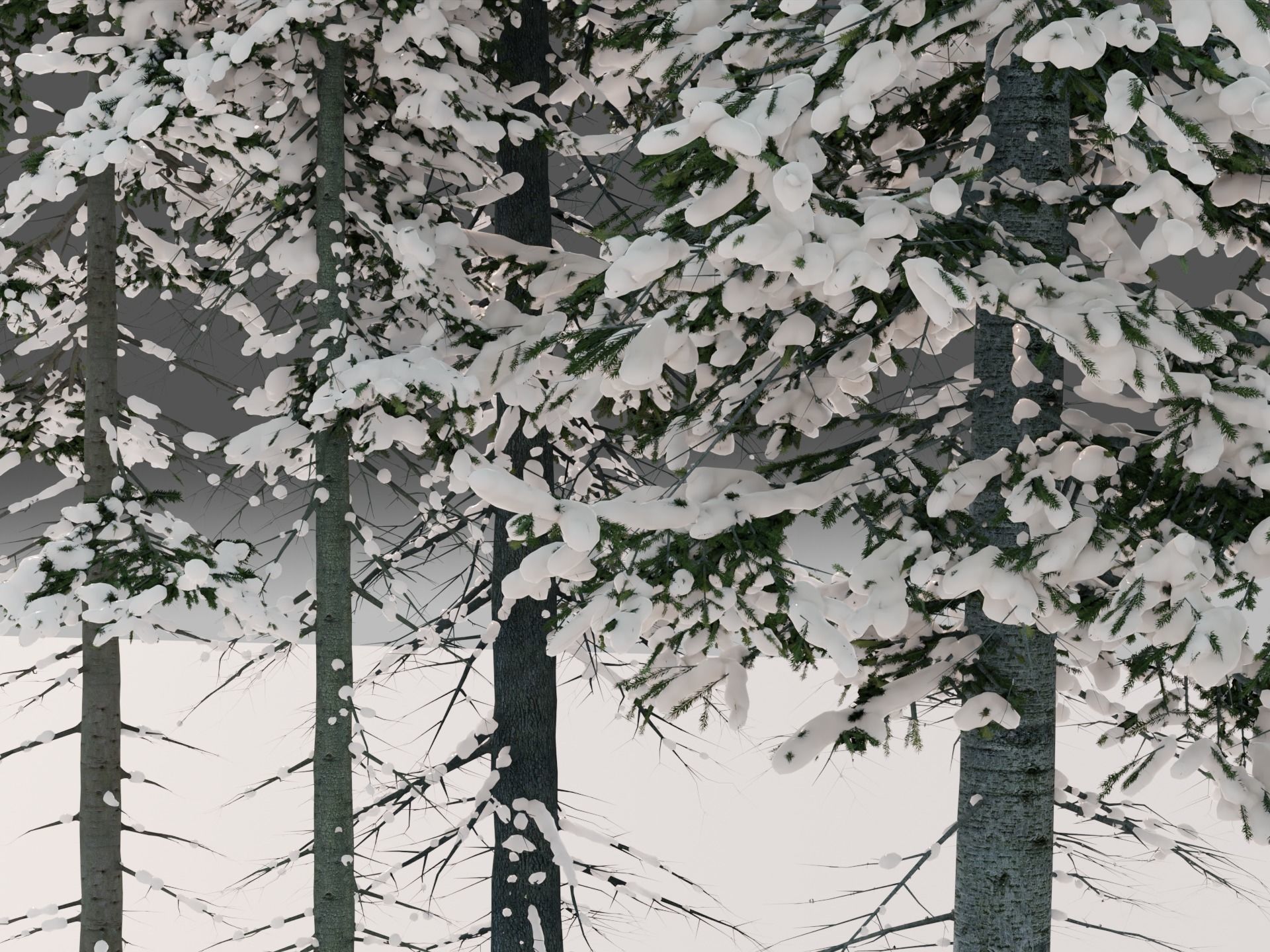 Fir Trees Abies Alba collection photoscanned 3D model_14