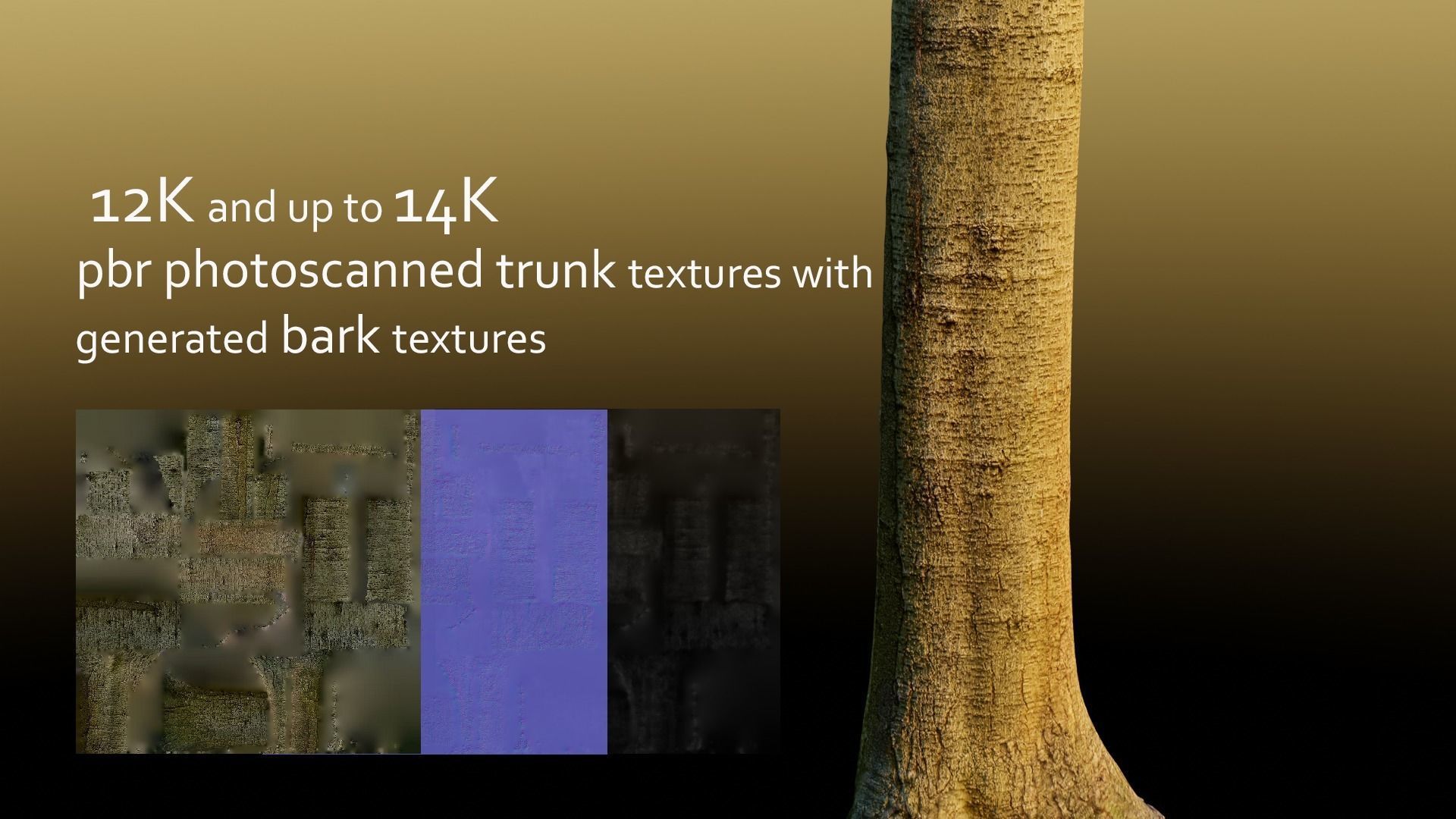 Fir Trees Abies Alba collection photoscanned 3D model_15