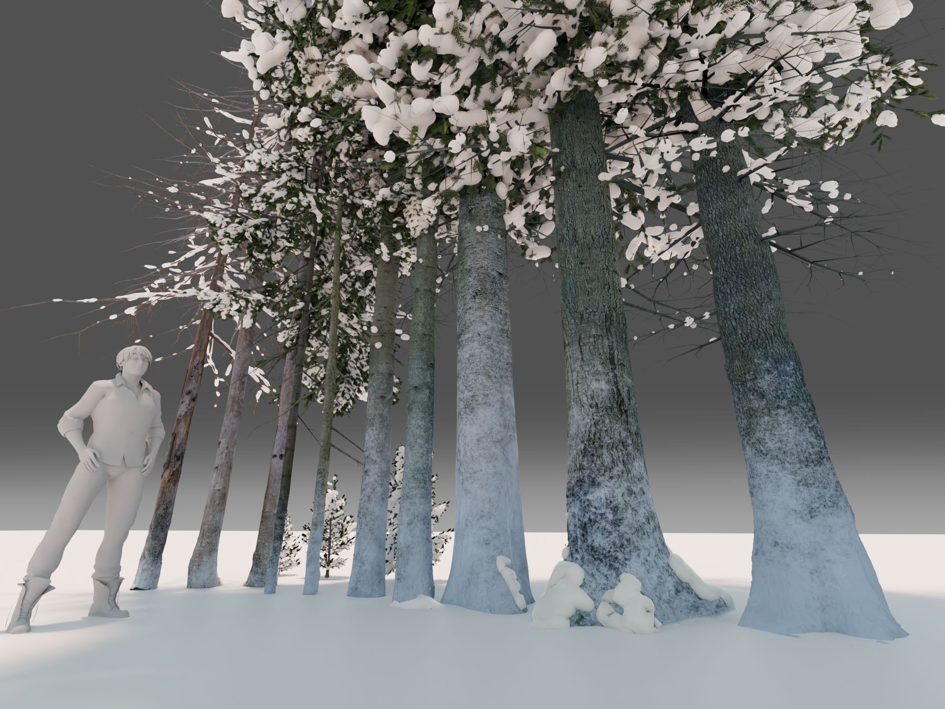Fir Trees Abies Alba collection photoscanned 3D model_2