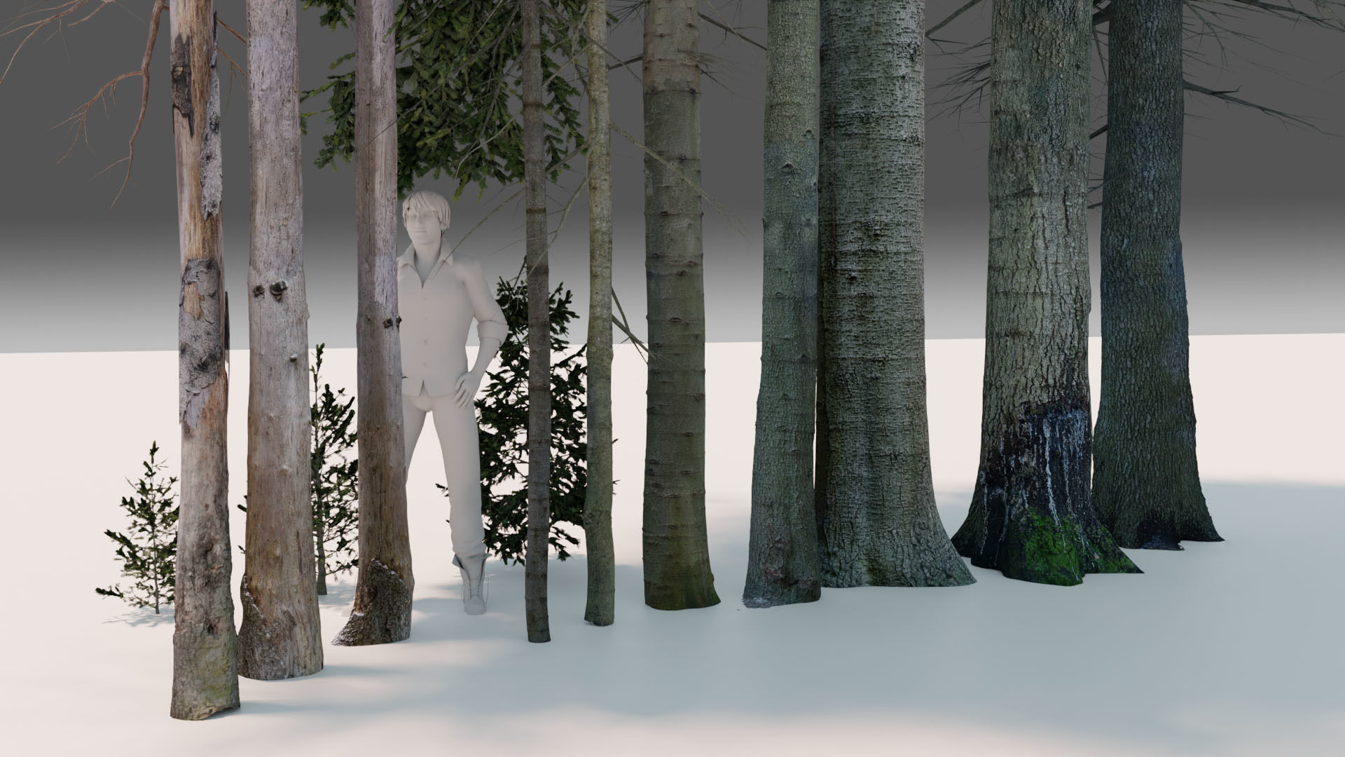 Fir Trees Abies Alba collection photoscanned 3D model_11