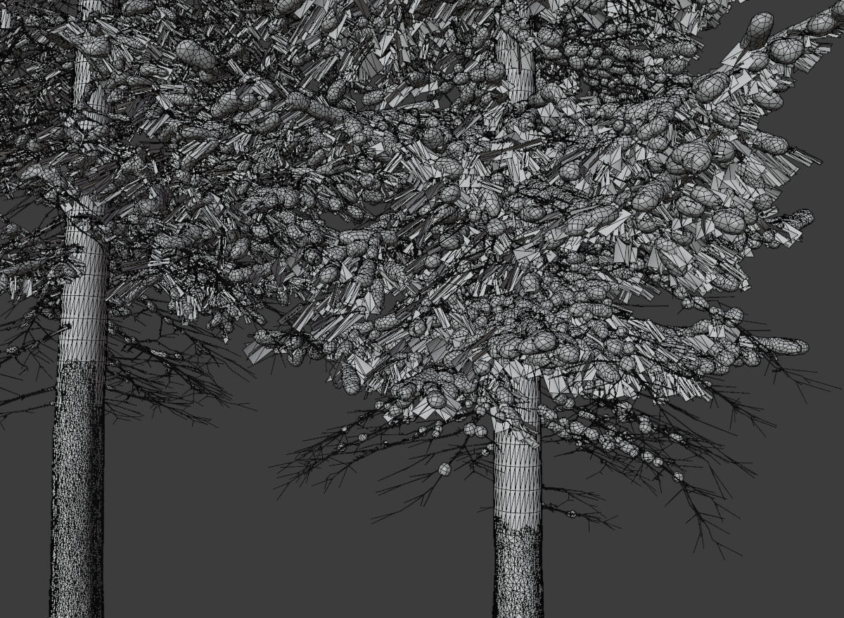 Fir Trees Abies Alba collection photoscanned 3D model_17