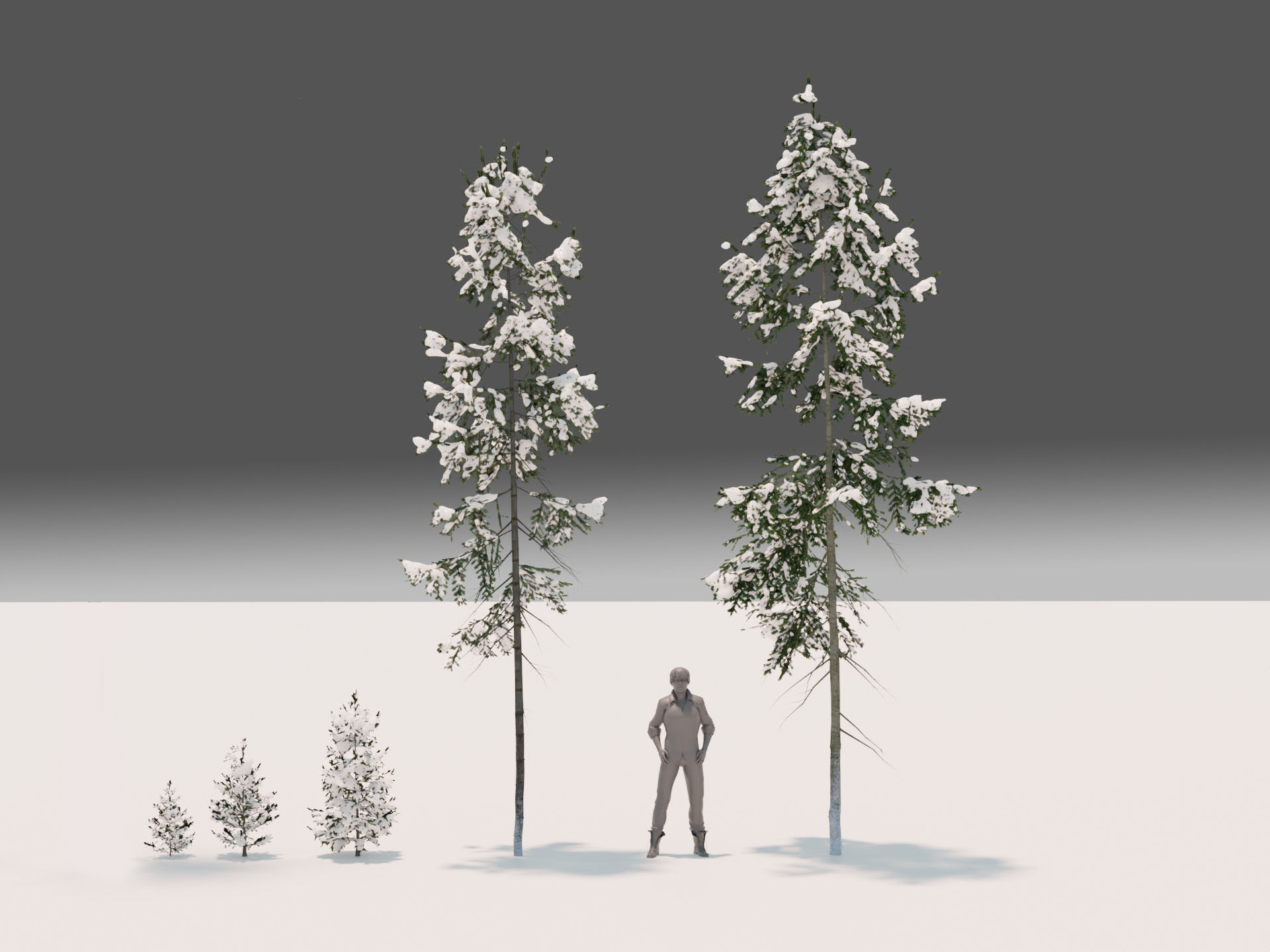 Fir Trees Abies Alba collection photoscanned 3D model_8