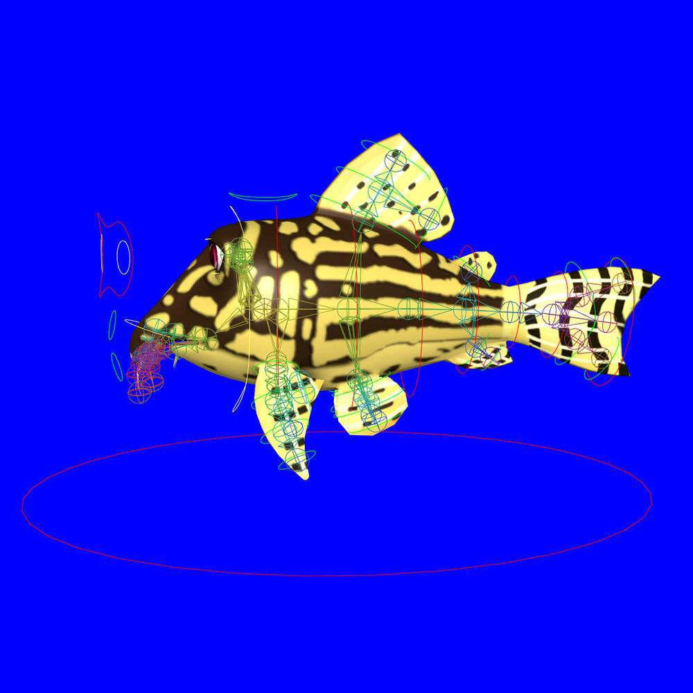 Sterba Corydoras fish animated Low-poly 3D model_5