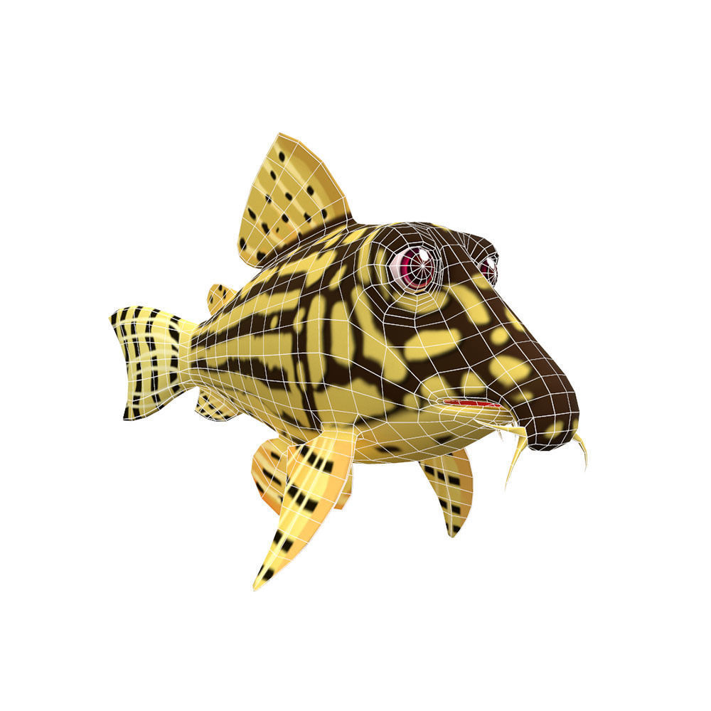 Sterba Corydoras fish animated Low-poly 3D model_3