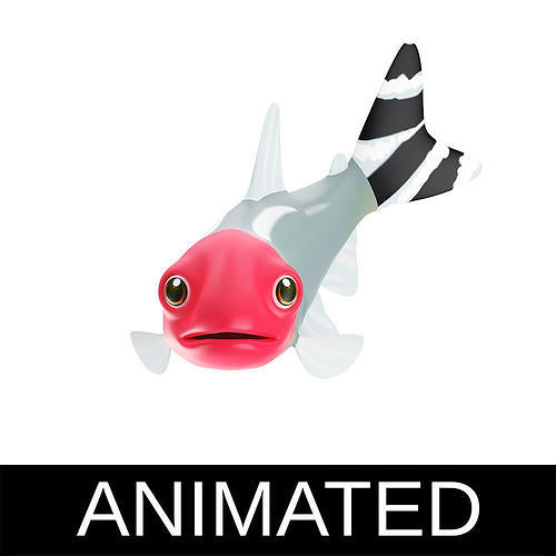 Srummynose Tetra fish animated Low-poly 3D model