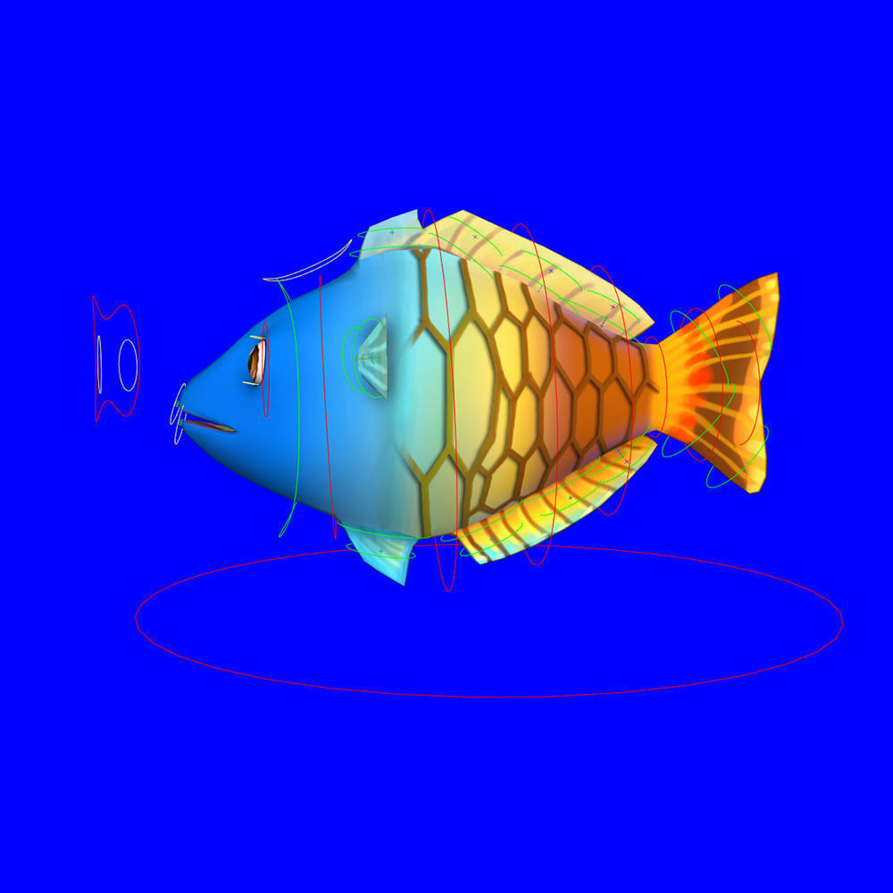 Boesemani Rainbow fish animated Low-poly 3D model_5