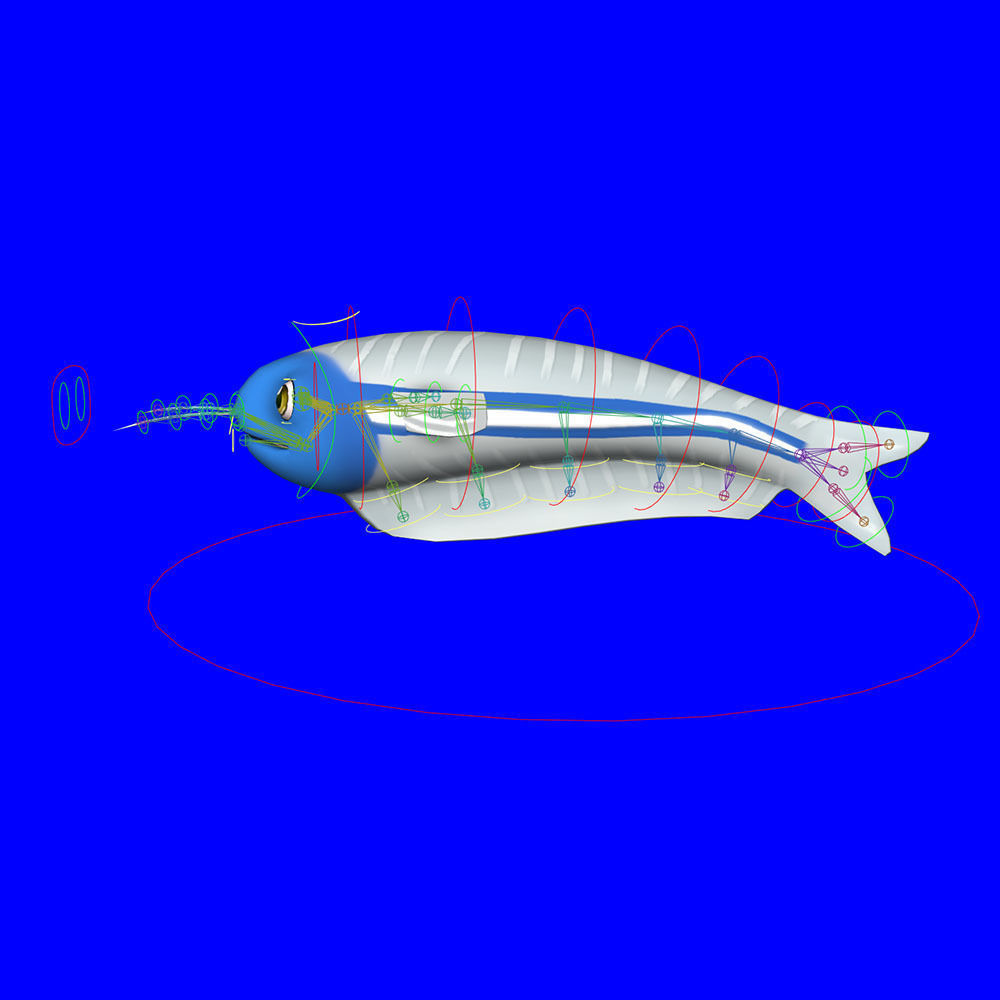 Glass Cat fish animated Low-poly 3D model_6