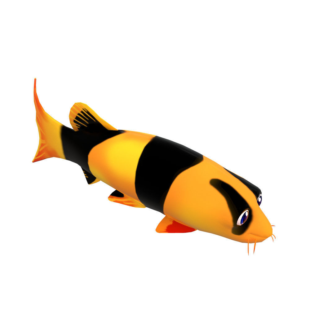 Clown loach fish animated  Low-poly 3D model_2