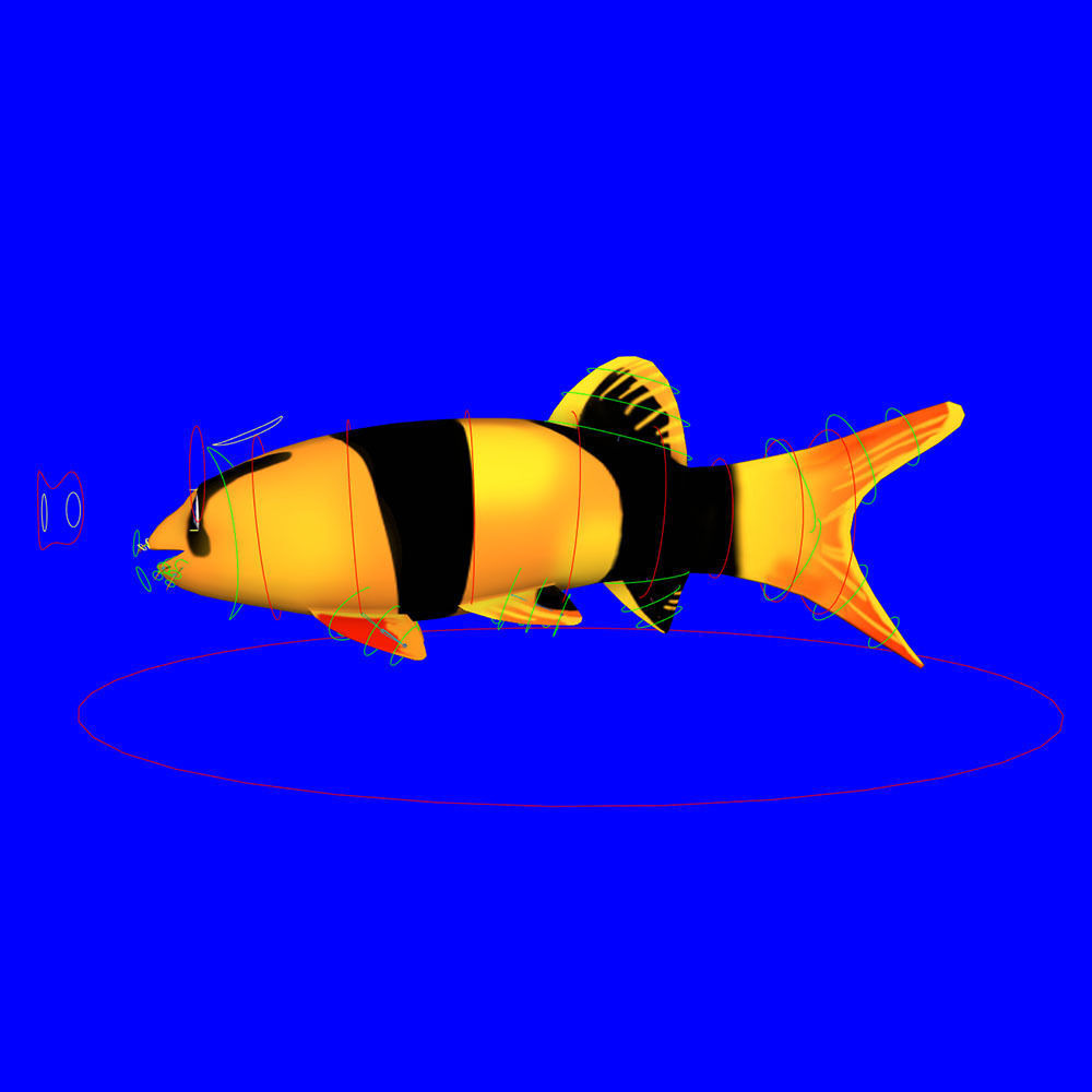 Clown loach fish animated  Low-poly 3D model_7