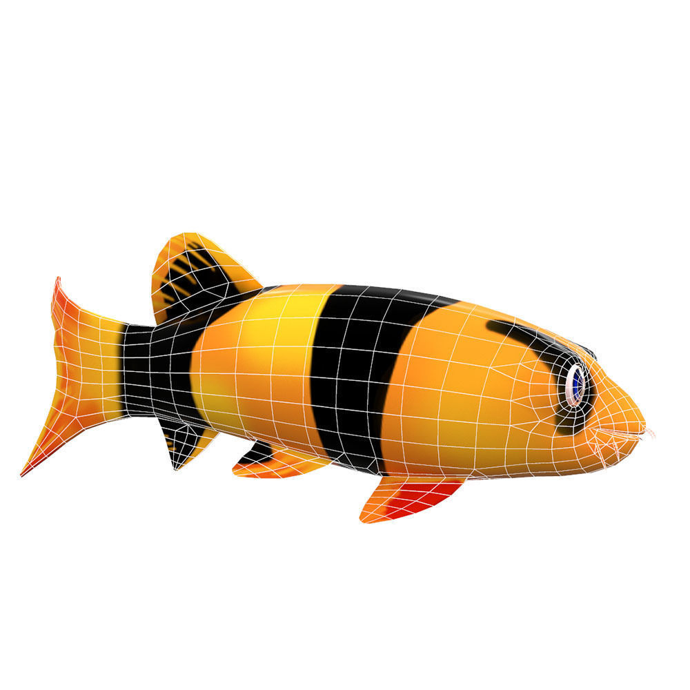Clown loach fish animated  Low-poly 3D model_5