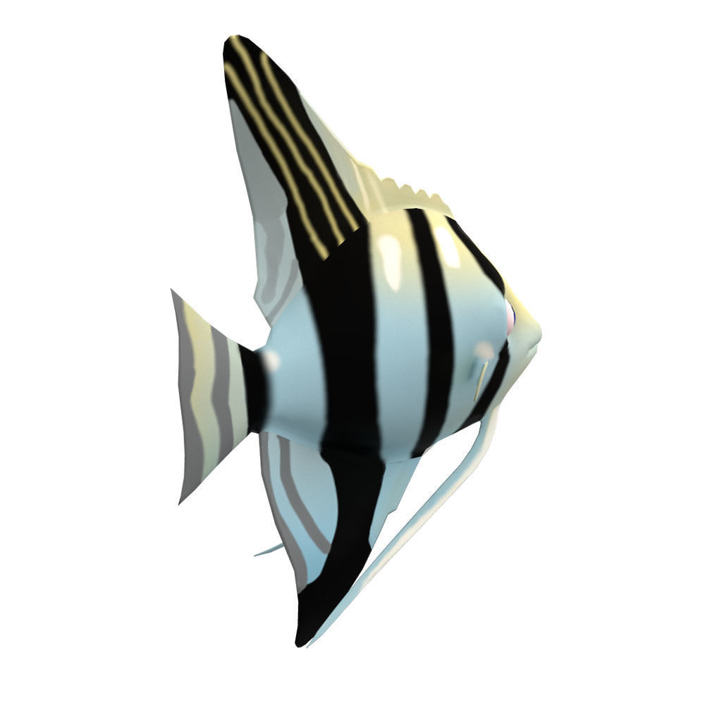 Angel Animated Fish  Low-poly 3D model_1