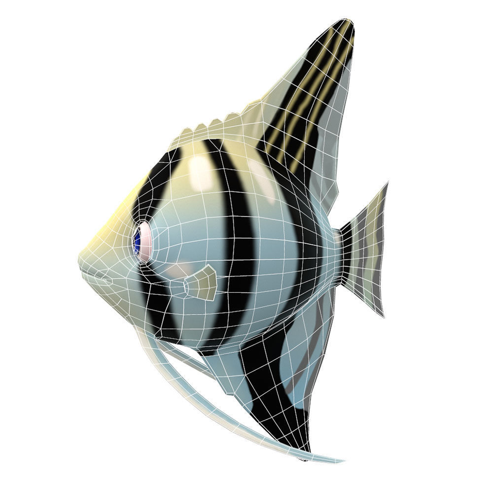 Angel Animated Fish  Low-poly 3D model_4