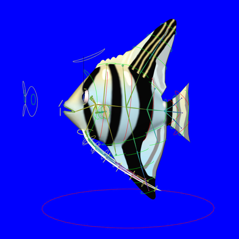 Angel Animated Fish  Low-poly 3D model_7