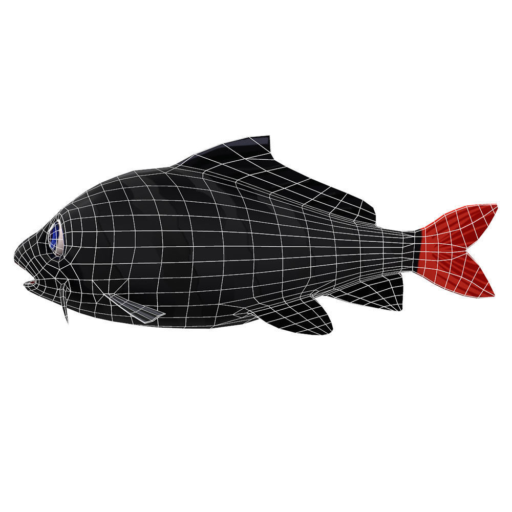 Red Tailed Black Animated Shark Low-poly 3D model_4