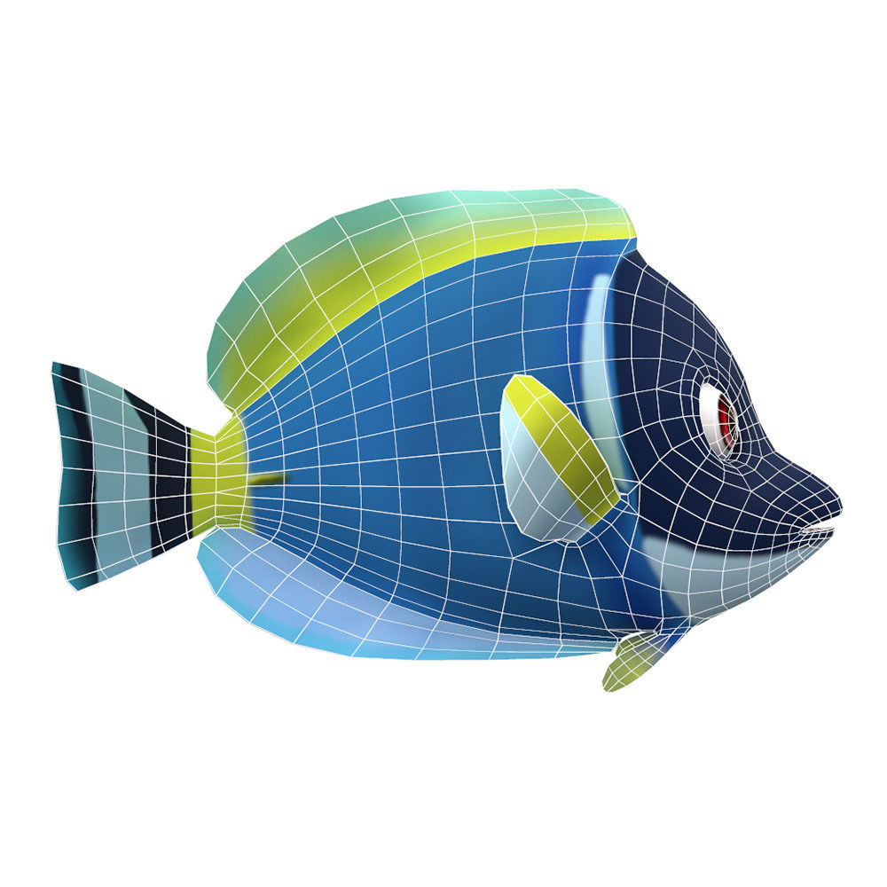Powder Blue Tang fish animated  Low-poly 3D model_4