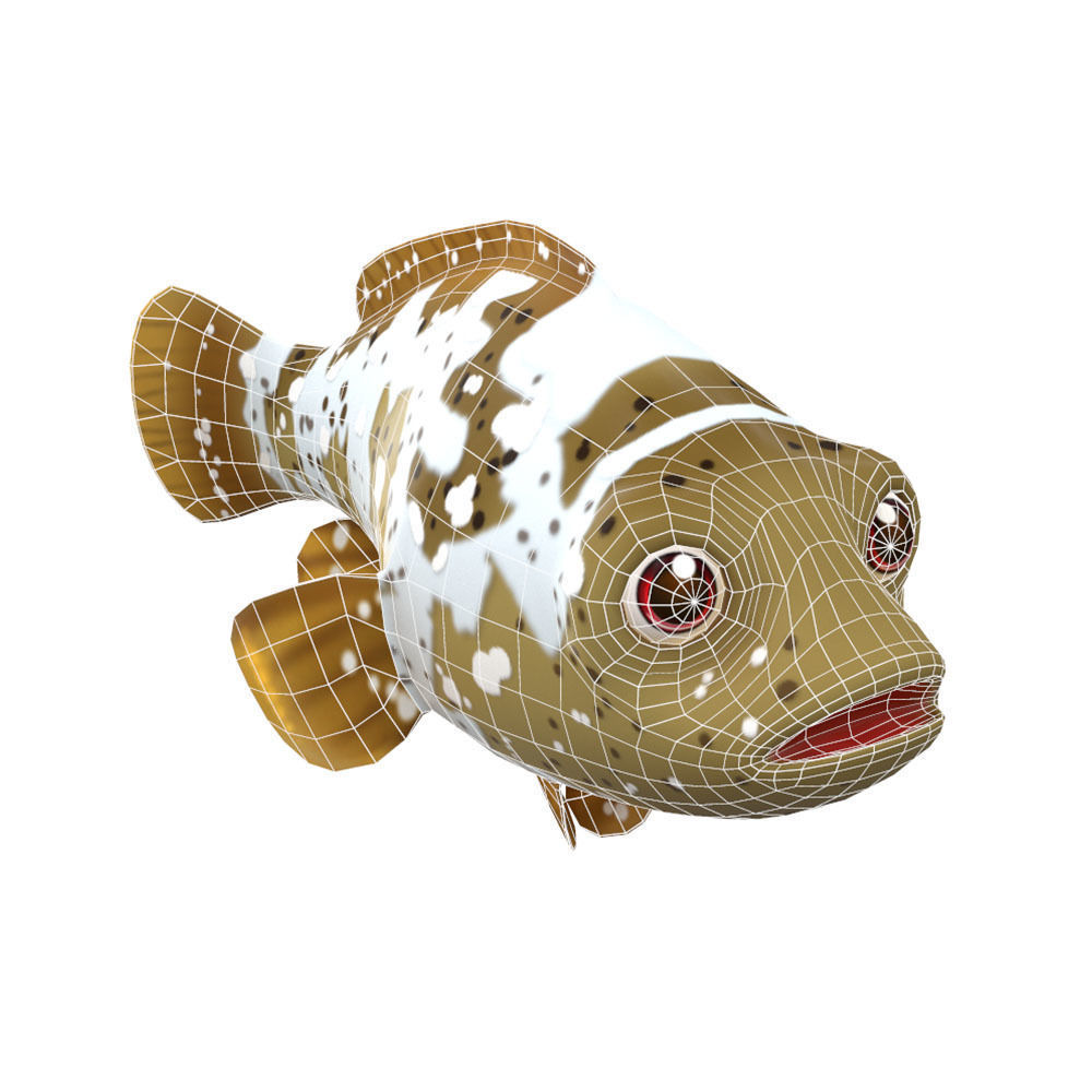 Malabar Grouper Animated Fish  Low-poly 3D model_4