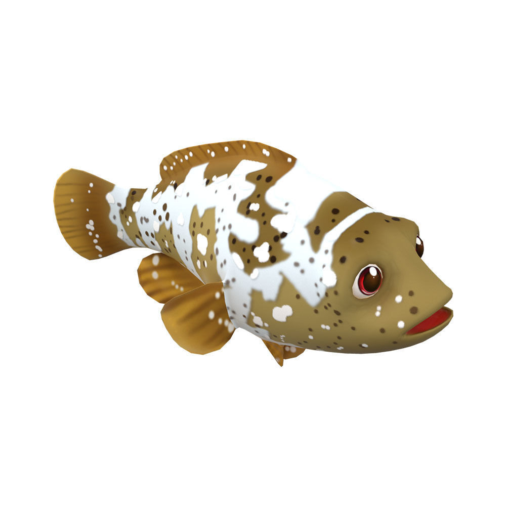 Malabar Grouper Animated Fish  Low-poly 3D model_1