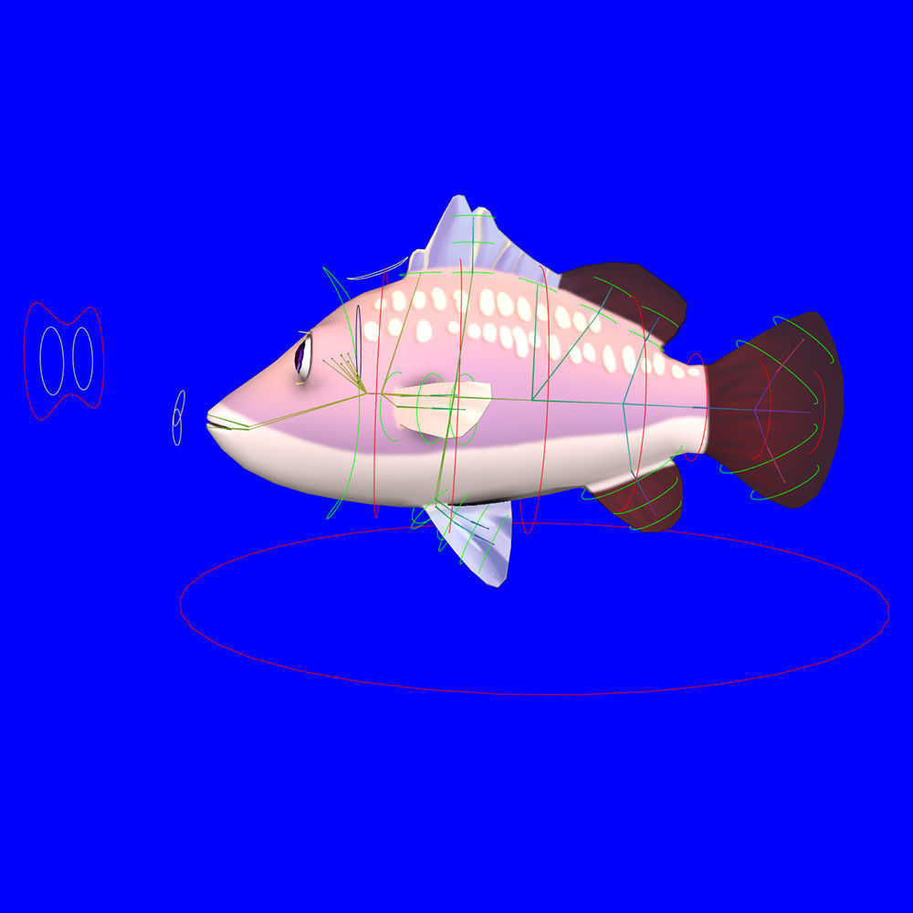 Barramundi Animated Fish  Low-poly 3D model_9