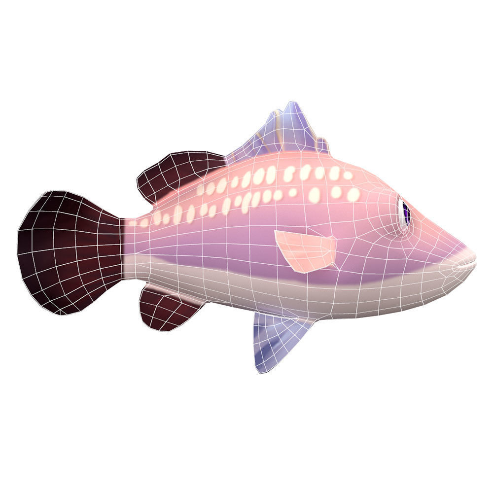 Barramundi Animated Fish  Low-poly 3D model_7