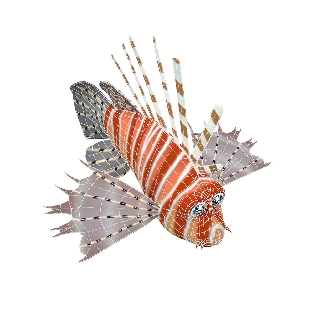 Lion Animated Fish Low-poly 3D model_5
