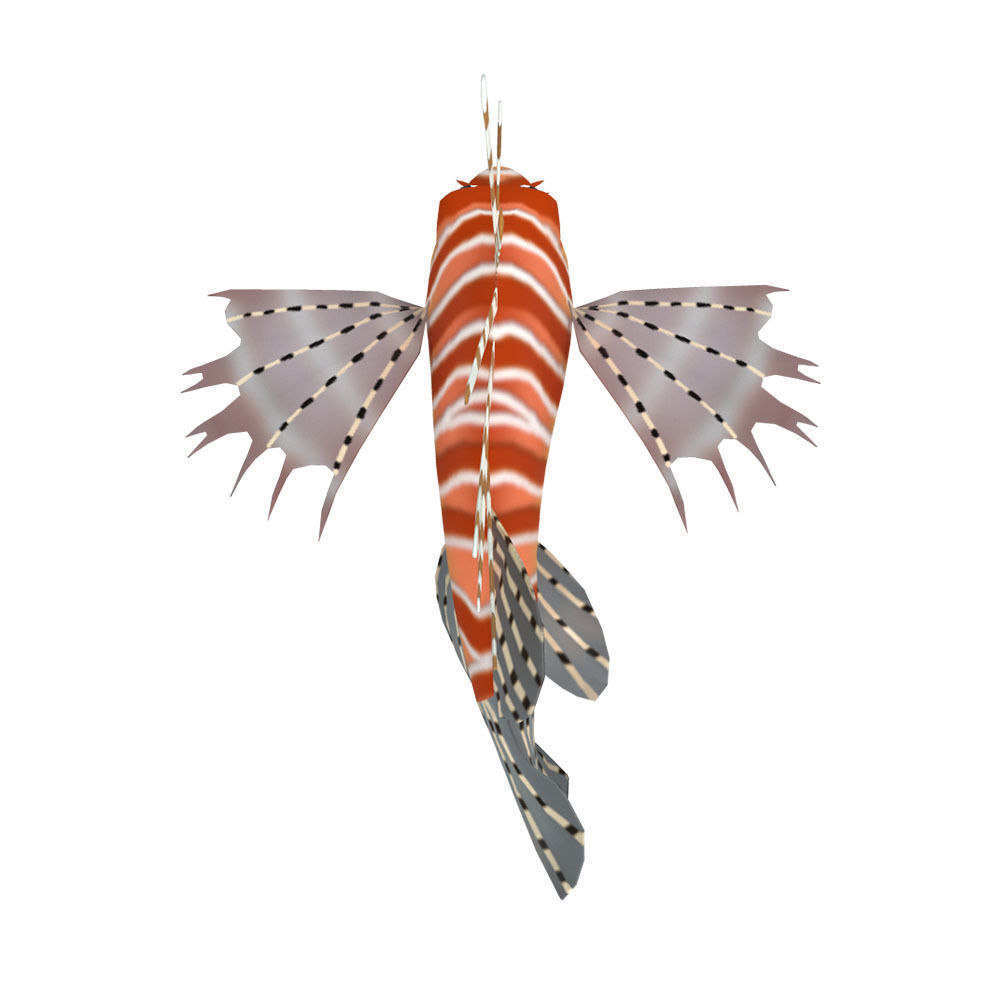 Lion Animated Fish Low-poly 3D model_3