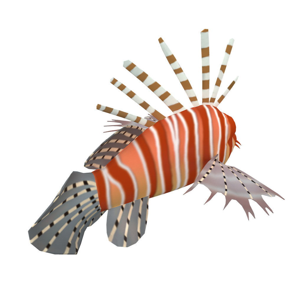 Lion Animated Fish Low-poly 3D model_4