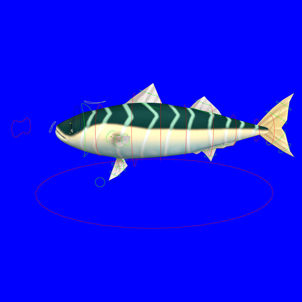 Blue Mackerel Animated Fish Low-poly 3D model_6