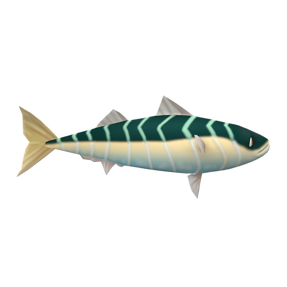Blue Mackerel Animated Fish Low-poly 3D model_1