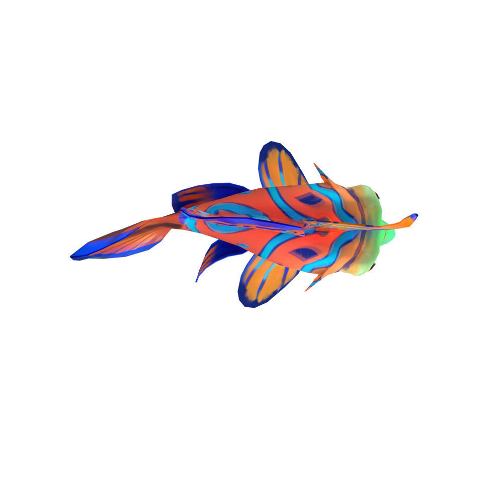 Dragonet Animated Fish  Low-poly 3D model_6