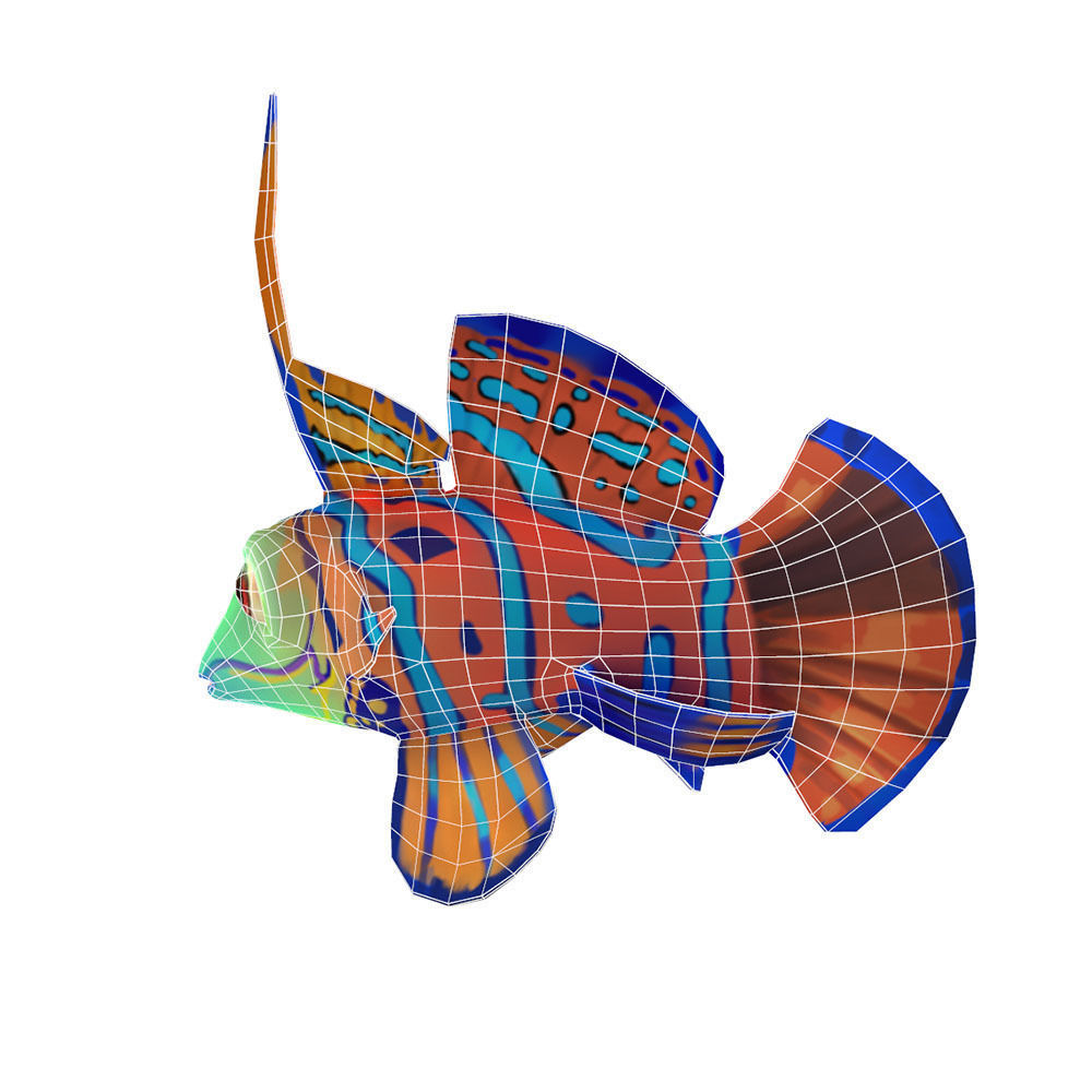 Dragonet Animated Fish  Low-poly 3D model_4