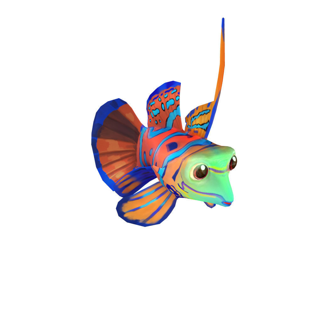 Dragonet Animated Fish  Low-poly 3D model_3