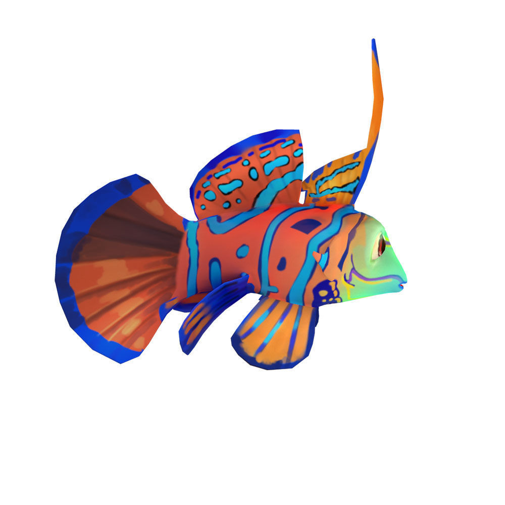 Dragonet Animated Fish  Low-poly 3D model_1