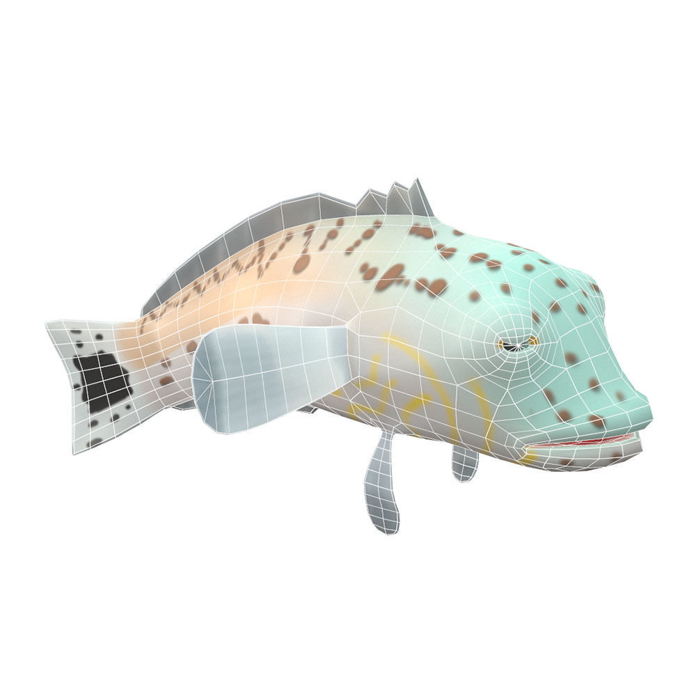 Speckled Sand Perch Animated Fish  Low-poly 3D model_3