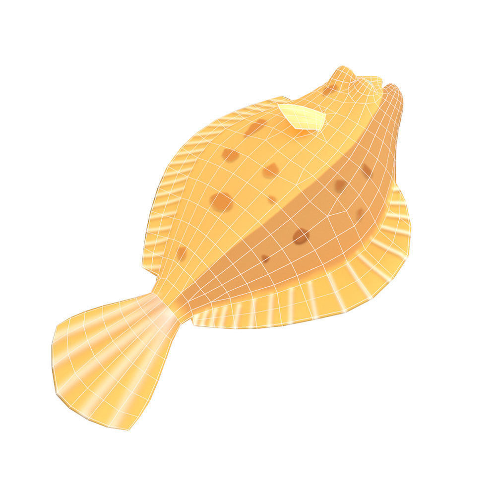 Common Dab Animated Fish  Low-poly 3D model_4