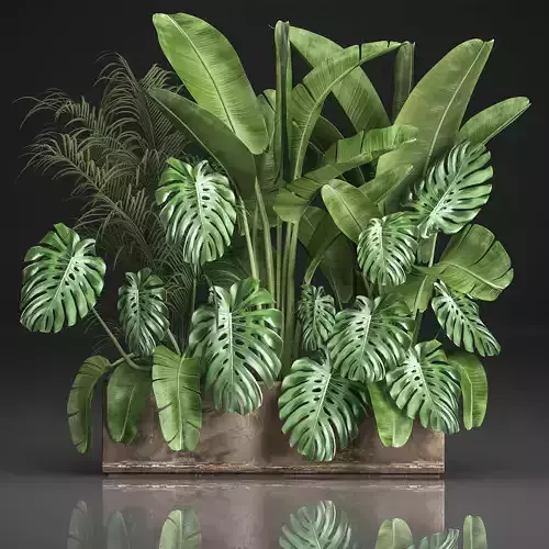 Houseplants in a flowerpot for the interior 937