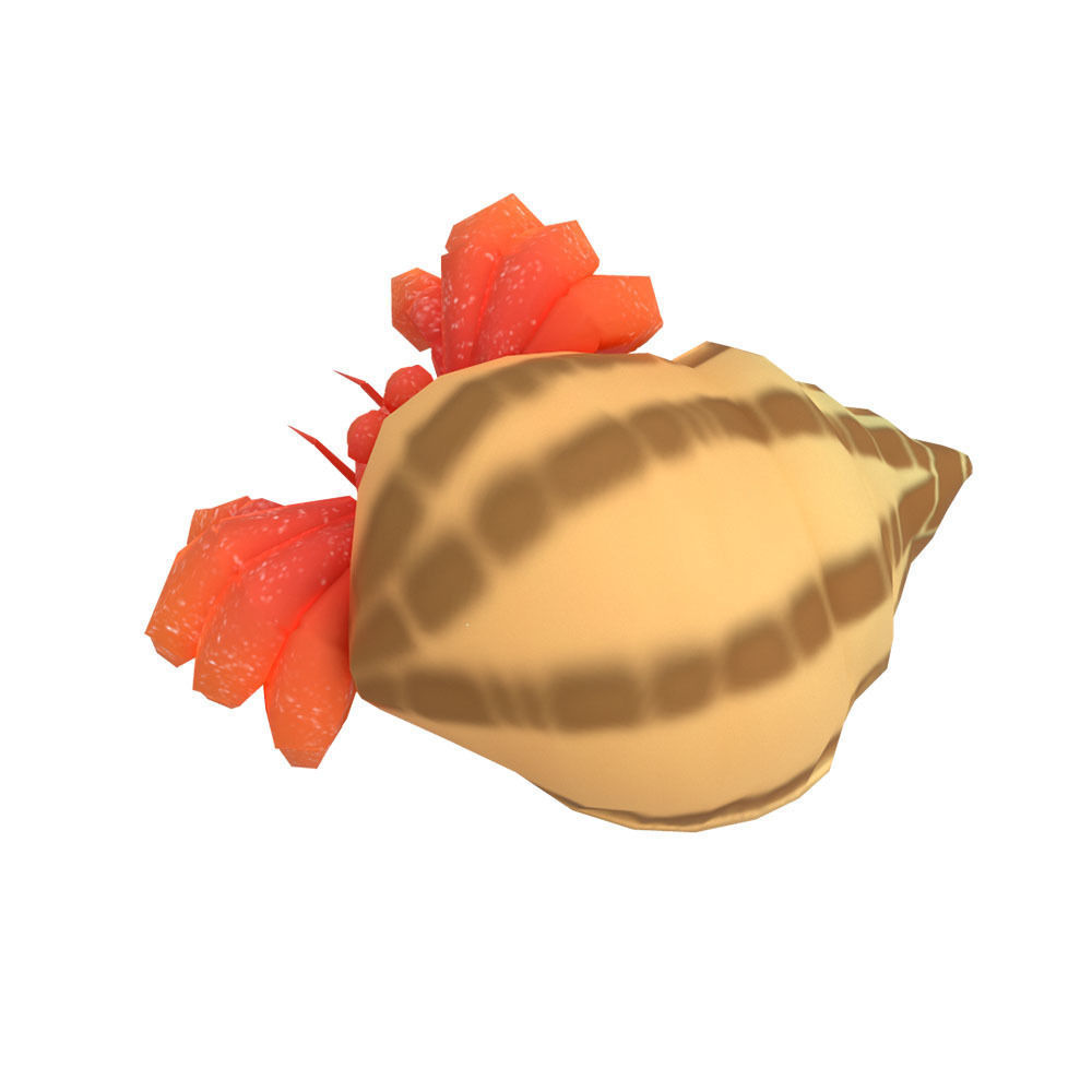 Coenobita Perlatus Animated  Low-poly 3D model_4